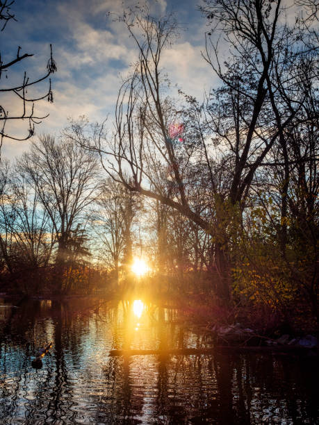 istock morning in a park 1356133834