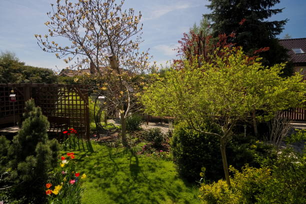 istock Garden with lawn and tulips on a sunny, spring day 1356134207
