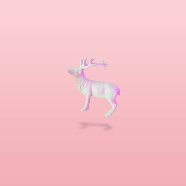 White reindeer flys on pink background. Christmas decorations stock photo