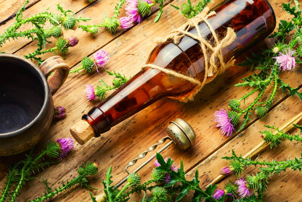 istock Thistle in herbal medicine 1356138653