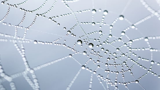 Cobweb or spiderweb natural rain pattern background close-up.Blur view lines, spider web necklace.Cobweb net texture with morning rain bokeh.Macrophotography of rain