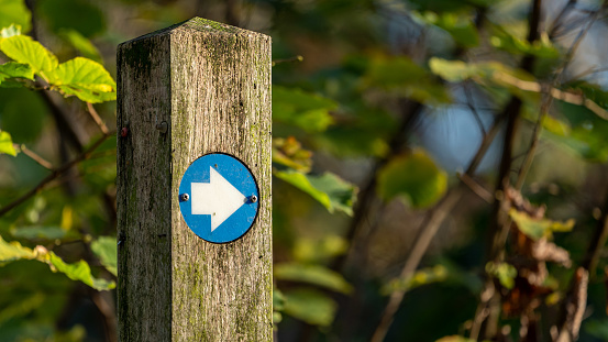 Hiking trail marker on wooden post in wood