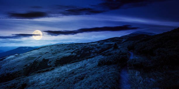 istock trail uphill the alpine meadow to the distant summit at night 1356141662