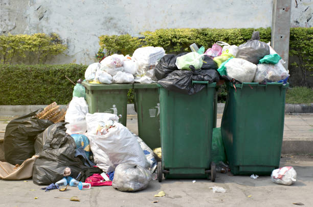 istock The garbage in the green bin in Thailand. 1356141732