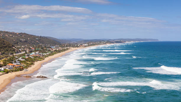istock Wilderness Beach in South Africa 1356144932