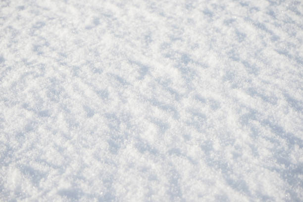 istock Natural snow. White abstract background. Winter. Snow surface background 1356145612