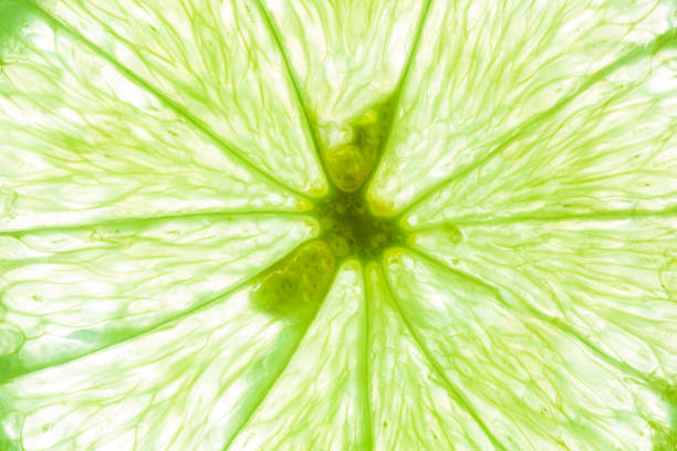 istock macro lemon texture,Macro close up surface texture Juicy slice of lime 1356147664