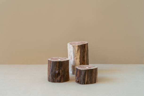 istock Three empty wooden podiums on beige background for product presentation. Cylinder shaped displays for cosmetic advertising. Mockup for natural or eco product in neutral colours. Minimal concept 1356147868
