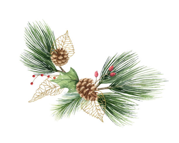 998,400+ Decorative Evergreen Trees Stock Photos, Pictures & Royalty ...