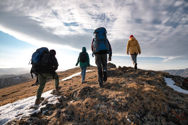 Group of diverse tourists or hikers walks on mountain top Group of four diverse tourists or hikers are walking on mountain top at sunset time mountain climbing stock pictures, royalty-free photos & images