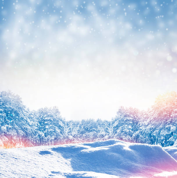 istock Frozen winter forest with snow covered trees. 1356150293