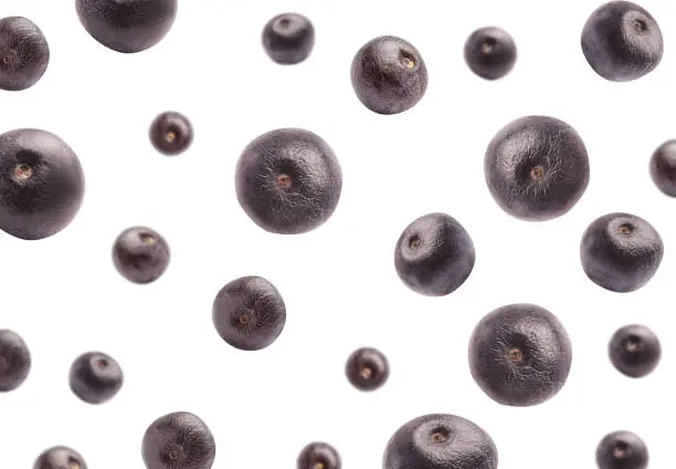 Fresh acai berries falling on white background