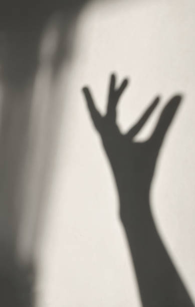 A hand shadow on a white wall. Soft shadows. Gentle art.