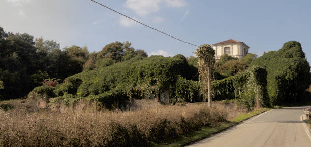 Arona, Italy - October 16, 2021: Remains of a substantial construction now buried in grape vines in the Autumn sunshine
