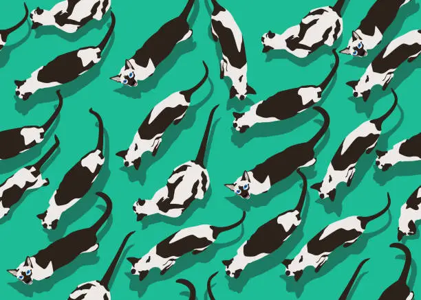 Vector illustration of Siamese cat seamless pattern on green background. Flat style