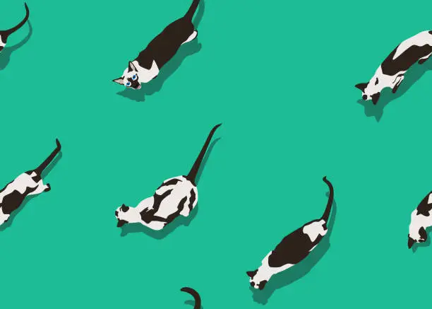 Vector illustration of Siamese cat seamless pattern on green background. Flat style with shadow. Funny animal