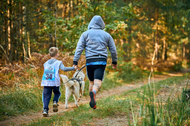 biegi przełajowe canicross z psem, ojcem i synem biegającym z psem husky, sporty rodzinne - men jogging running sports training zdjęcia i obrazy z banku zdjęć