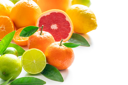 Varied group of citrus fruits closeup oranges tangerines lime lemon and  grapefruit isolated on white background