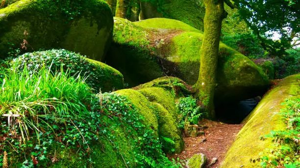 Photo of Boulders in the forest at Huelgoat in Brittany, france