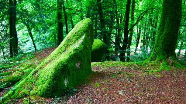 Photo of Boulders in the forest at Huelgoat in Brittany, france