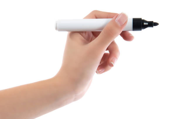 istock Hand with a marker on a white background 1356162161