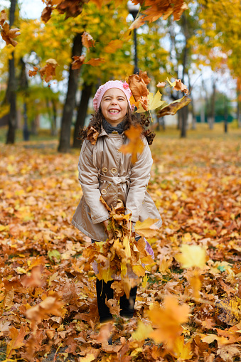 Girl playing with fallen yellow leaves. Portrait of a happy child in an autumn park.