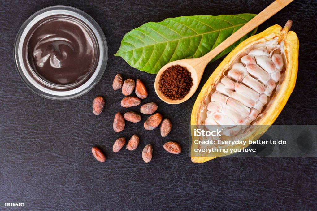 Cocoa fruit, cocoa powder in wooden spoon and cacao beans with green leaf and chocolate cream in glass jar on dark table background. Cocoa fruit, cocoa powder in wooden spoon and cacao beans with green leaf and chocolate cream in glass jar on dark table background. Top view. Flat lay. Hot Chocolate Stock Photo