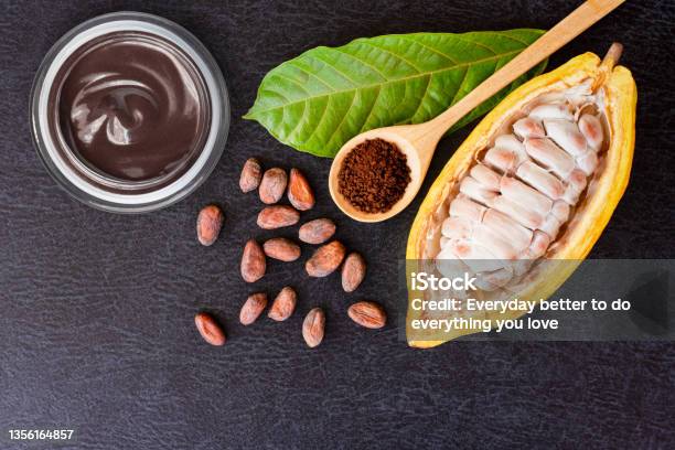 Cocoa Fruit Cocoa Powder In Wooden Spoon And Cacao Beans With Green Leaf And Chocolate Cream In Glass Jar On Dark Table Background Stock Photo - Download Image Now