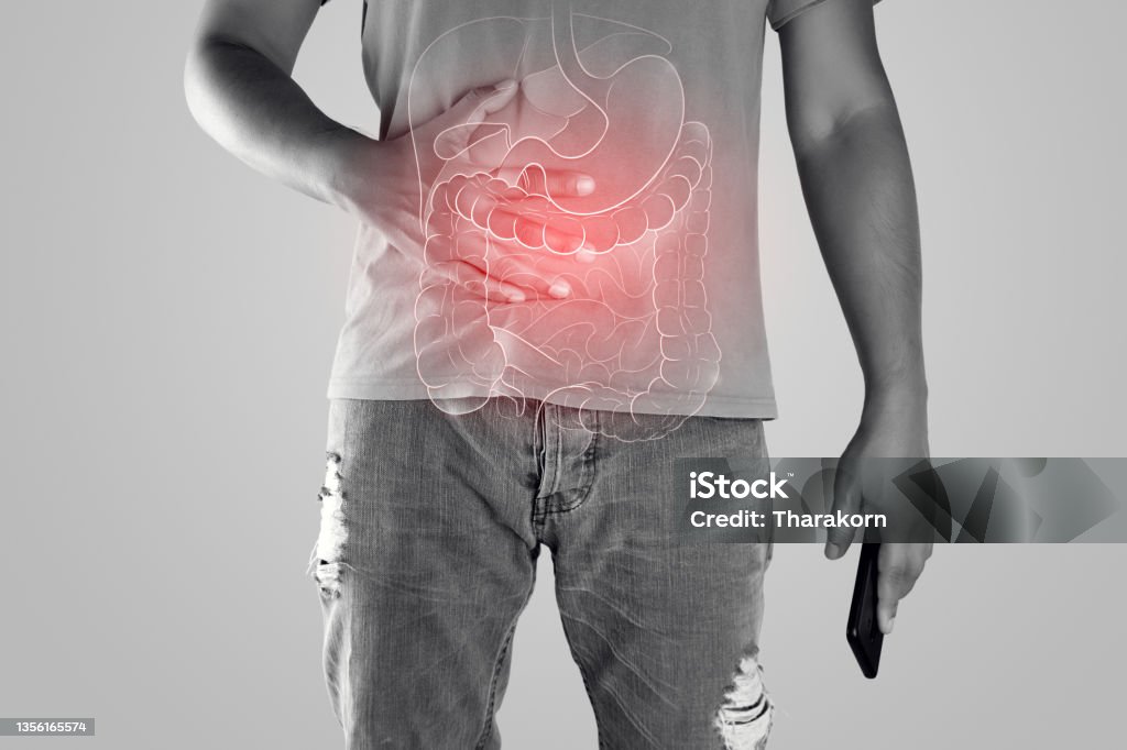 Illustration of internal organs is on the man body against the gray background. Peopel touching stomach painful suffering from enteritis. internal organs of the human body. Irritable Bowel Syndrome Stock Photo