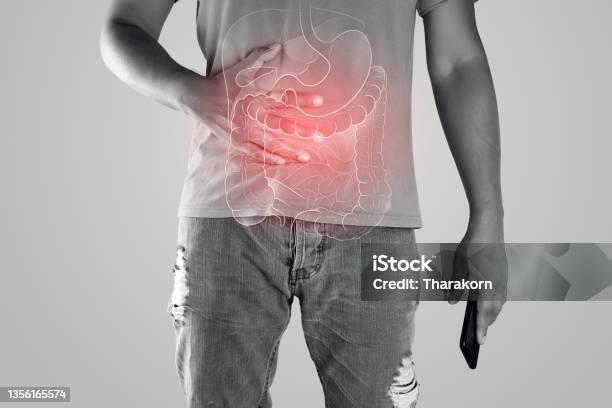 Illustration Of Internal Organs Is On The Man Body Against The Gray Background Peopel Touching Stomach Painful Suffering From Enteritis Internal Organs Of The Human Body Stock Photo - Download Image Now