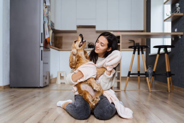 istock Pleasant photo about taking care and playing with a dog 1356170747