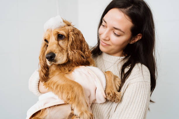 istock Woman with a Lovely Dog taking a bathroom 1356171877