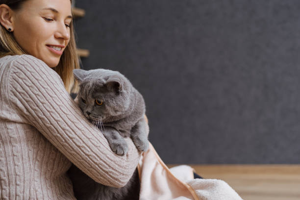 istock Pleasant photo about taking care and playing with a cat 1356172348