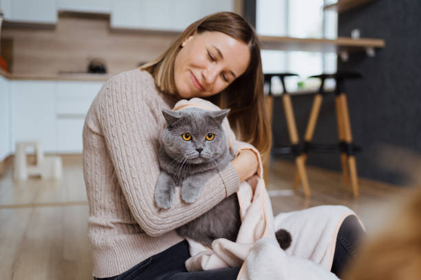 istock Pleasant photo about taking care and playing with a cat 1356172353