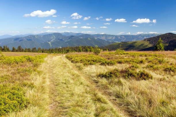 istock View from Velka Fatra mountains to Nizke Tatry range 1356173577