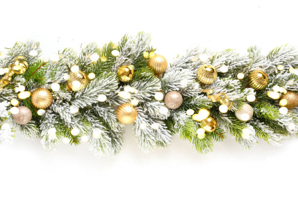 Christmas banner with gold baubles in row on snowy evergreen branches. Christmas banner of garland with gold baubles in row on snowy evergreen fir branches with lights isolated on white background. Wide size. evening ball photos stock pictures, royalty-free photos & images