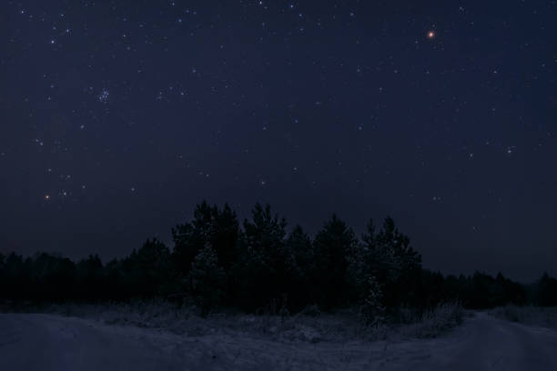 istock forest stars the sky snow spruce road 1356174137