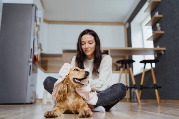 istock Pleasant photo about taking care and playing with a dog 1356174945