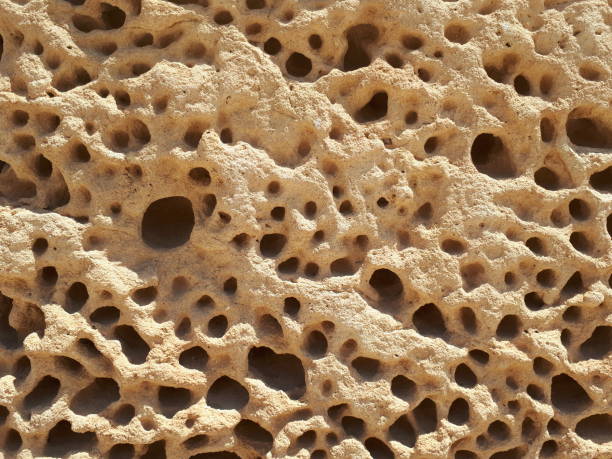 istock Texture of sandy stone close-up 1356175446