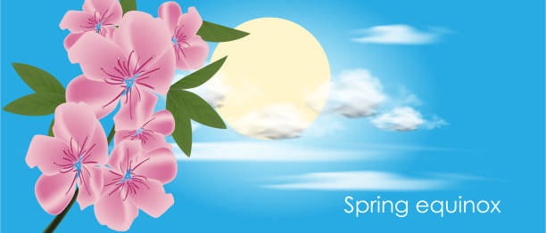 ilustraciones, imágenes clip art, dibujos animados e iconos de stock de el equinoccio vernal cae el 20 de marzo. en el hemisferio norte, el día se hace más largo que la noche. nowruz se llama la fecha del año nuevo persa. - first day of spring