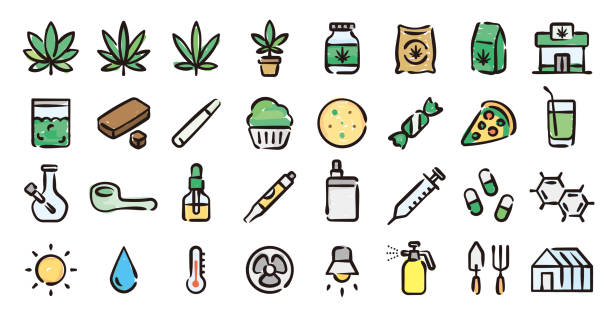 ilustrações, clipart, desenhos animados e ícones de conjunto de ícones de produto cannabis (versão de preenchimento de cor de desenho manual) - arrancando ervas daninhas