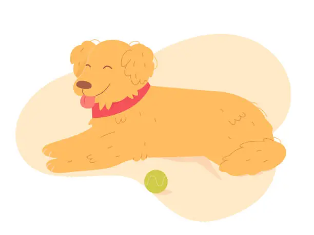 Vector illustration of Cute dog lying on floor alone to sleep after game with ball, funny puppy in lazy posture