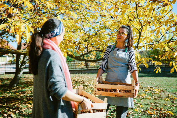 due donne che trasportano casse di noci nella fattoria biologica - service occupation candid small business carrying foto e immagini stock