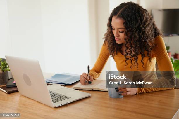 Multicultural Female Making Notes In Notepad Young Professional Remote Working With Laptop In Modern Apartment Stock Photo - Download Image Now