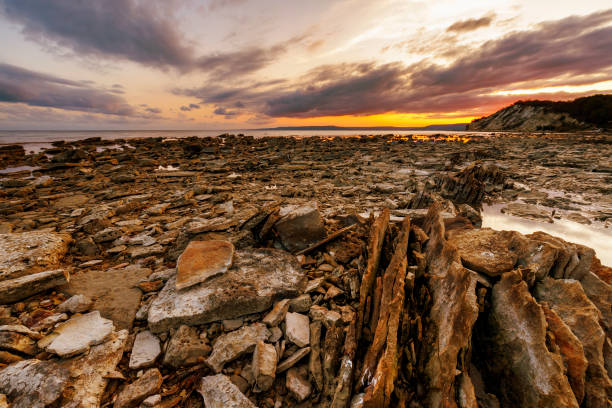 istock sea rocky coast 1356178034