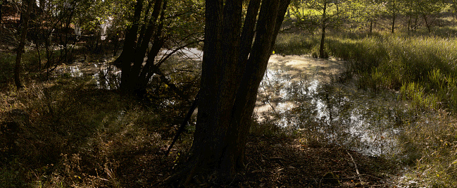 Arona, Italy - October 16, 2011: Pond in dappled sunlight in rural Piemonte