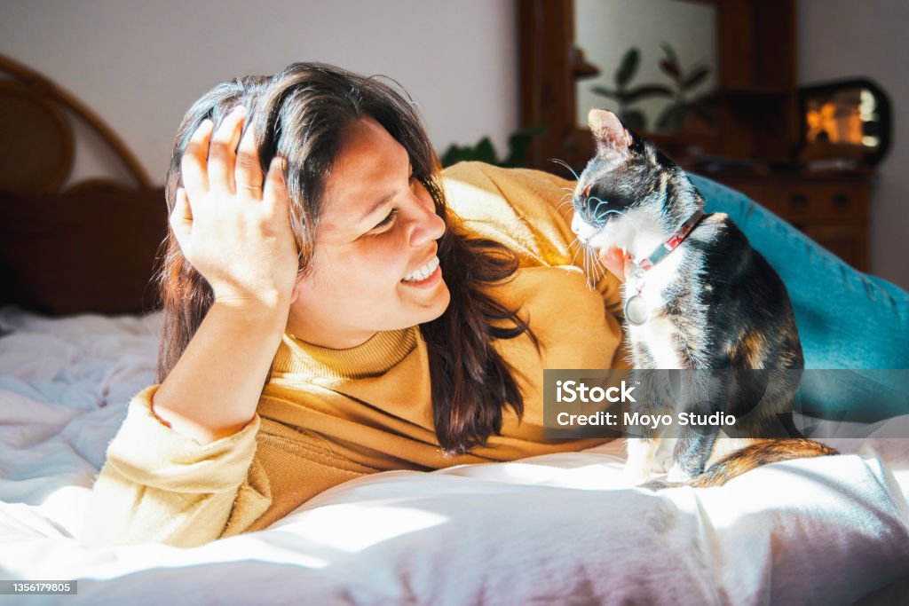 Shot of a young woman lying on her bed and bonding with her cat Who needs friends when you have cats? 20-29 Years Stock Photo
