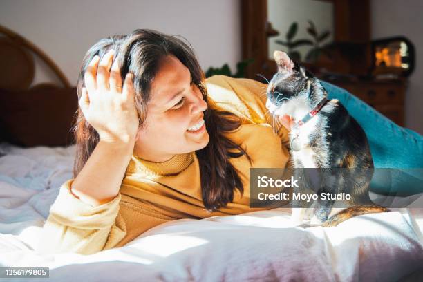 Shot Of A Young Woman Lying On Her Bed And Bonding With Her Cat Stock Photo - Download Image Now