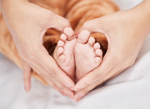 Baby Newborn Feet in Mother Hands. Beautiful New Born Kid Foot, Family Love and Care Concept