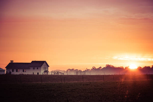 I farmhouse and field at sunrise with a slight morning mist stock photo